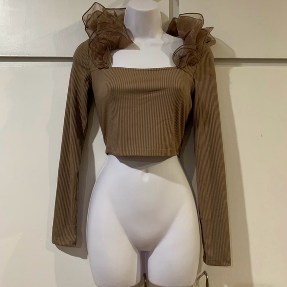 NWT Zara Brown Taupe Organza Long Sleeve Shirt Bloggers’ Favorite - Picture 8 of 11